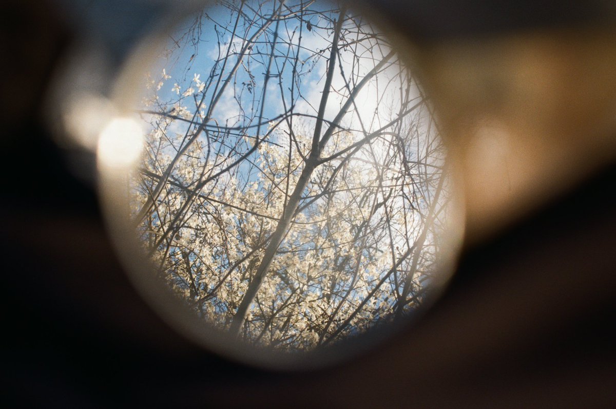 officesevenn's tweet image. 