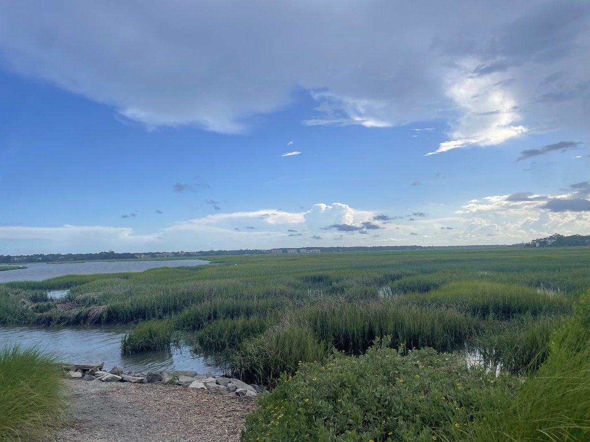 OtisGreyJr's tweet photo. Stumbled upon this marsh in Hilton Head…
8.9/10
@PghstevePSU @drunkhogman @frattyhercules @evanog4 https://t.co/ERk6VppaV7