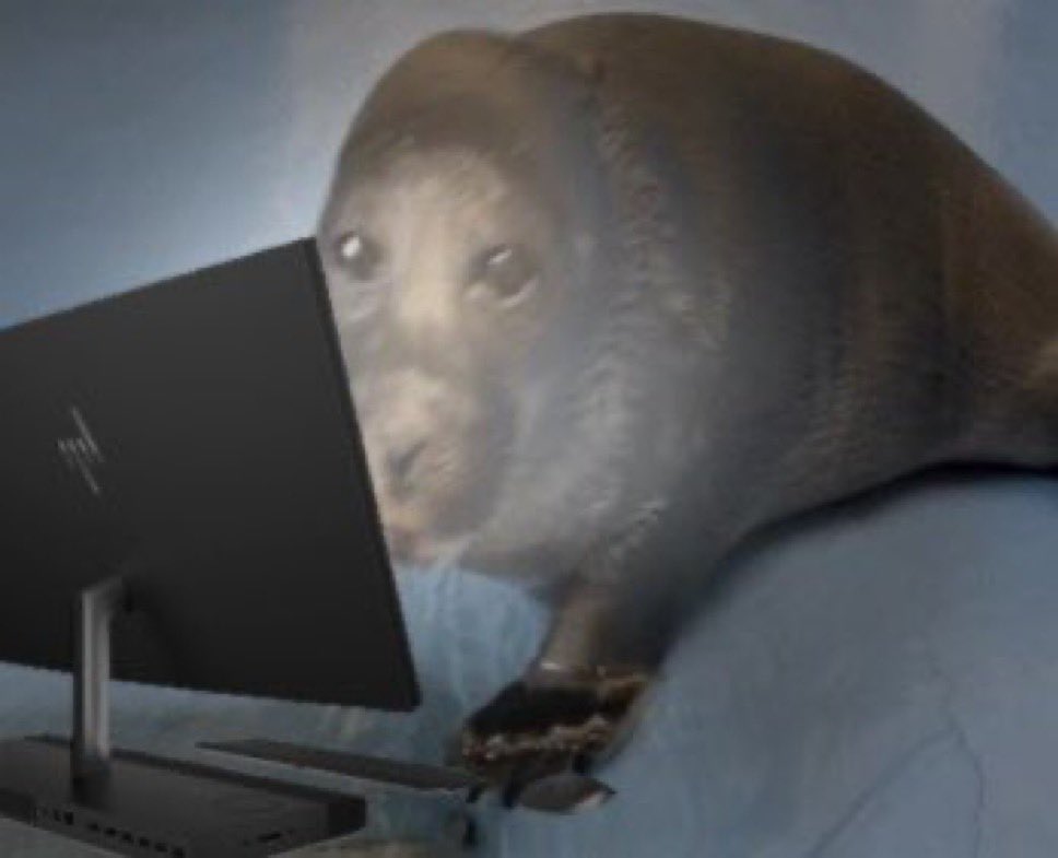 this is my favorite image