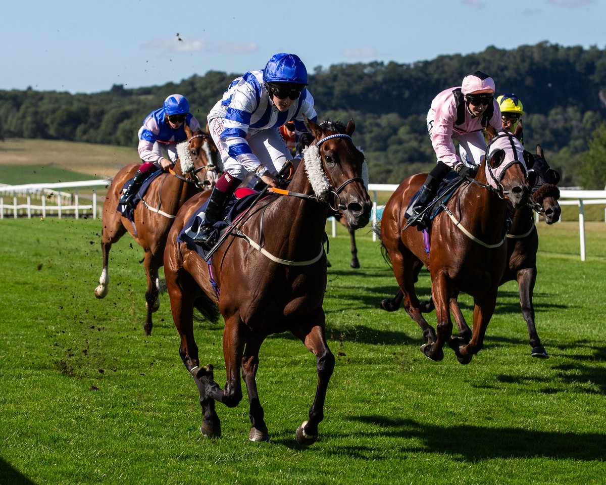 Phil Bell (@philbell25) on Twitter photo Big thank you to trainer <a href="/GraceHarris90/">Grace Harris Racing</a> for leasing one of her yard favourites Savannah Smiles to our Belly’s Heroes syndicate - this tough as teak mare won tonight <a href="/Chepstow_Racing/">Chepstow Racecourse</a> after a string of placed efforts. Great ride from <a href="/elizabeth_gale9/">Elizabeth Gale</a> Big thank you to trainer <a href="/GraceHarris90/">Grace Harris Racing</a> for leasing one of her yard favourites Savannah Smiles to our Belly’s Heroes syndicate - this tough as teak mare won tonight <a href="/Chepstow_Racing/">Chepstow Racecourse</a> after a string of placed efforts. Great ride from <a href="/elizabeth_gale9/">Elizabeth Gale</a>