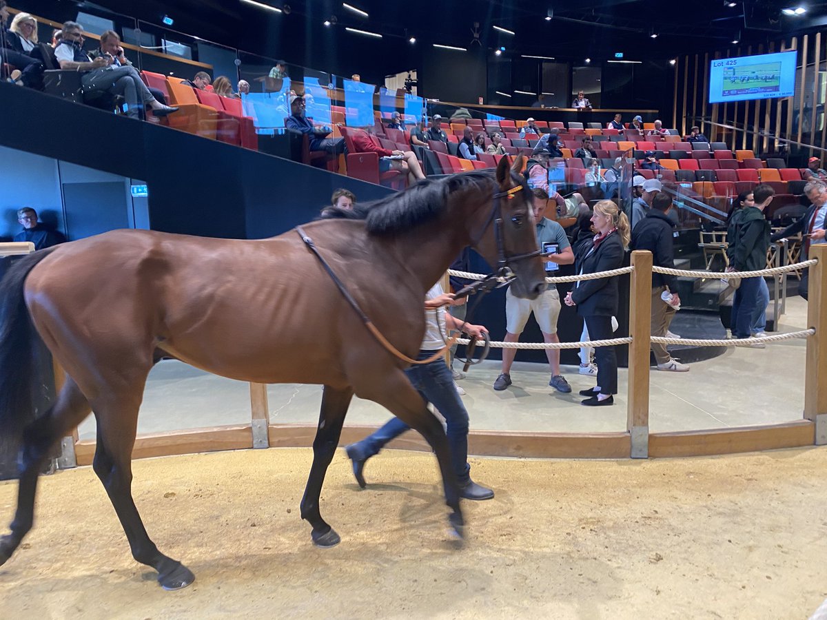 Ce soir chez <a href="/InfoArqana/">ARQANA</a>, notre cher Boniface a été vendu 250.000 € aux Australiens d’OTI Management via les courtiers <a href="/ArthurHoyeau/">Arthur Hoyeau</a> Emmanuel de Seroux.

C’est une bonne vente et nous avions besoin de rentrer du cash. Nous en sommes donc ravis. Mais peu tristes aussi … 🙄