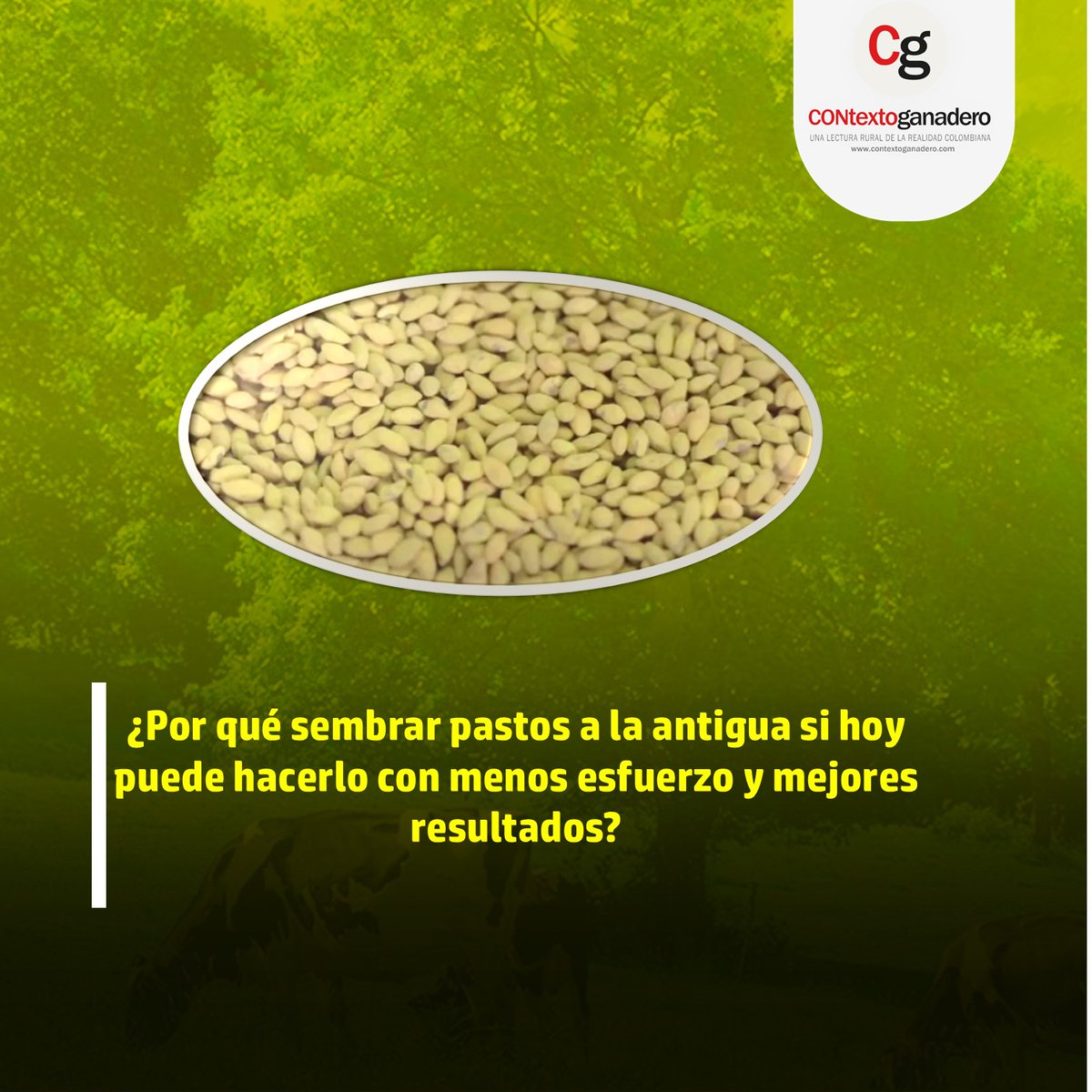 Provincia Norte Pasion Ganadera (@fedegansoata) on Twitter photo La selección de las semillas debe responder al ecosistema en que se encuentra el ganadero.
<a href="/ContGanadero/">CONtexto Ganadero</a>
<a href="/Fedegan/">FEDEGAN</a>
<a href="/jflafaurie/">José Félix Lafaurie</a>
<a href="/PPuertogaitan/">Proyecto Local PuertoGaitan</a>
<a href="/PlGuaviare/">Guaviare Pasión Ganadera</a> La selección de las semillas debe responder al ecosistema en que se encuentra el ganadero.
<a href="/ContGanadero/">CONtexto Ganadero</a>
<a href="/Fedegan/">FEDEGAN</a>
<a href="/jflafaurie/">José Félix Lafaurie</a>
<a href="/PPuertogaitan/">Proyecto Local PuertoGaitan</a>
<a href="/PlGuaviare/">Guaviare Pasión Ganadera</a>