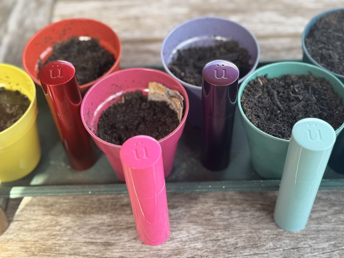 Lorraine Grover (She/her) 🧡💜 tweet media