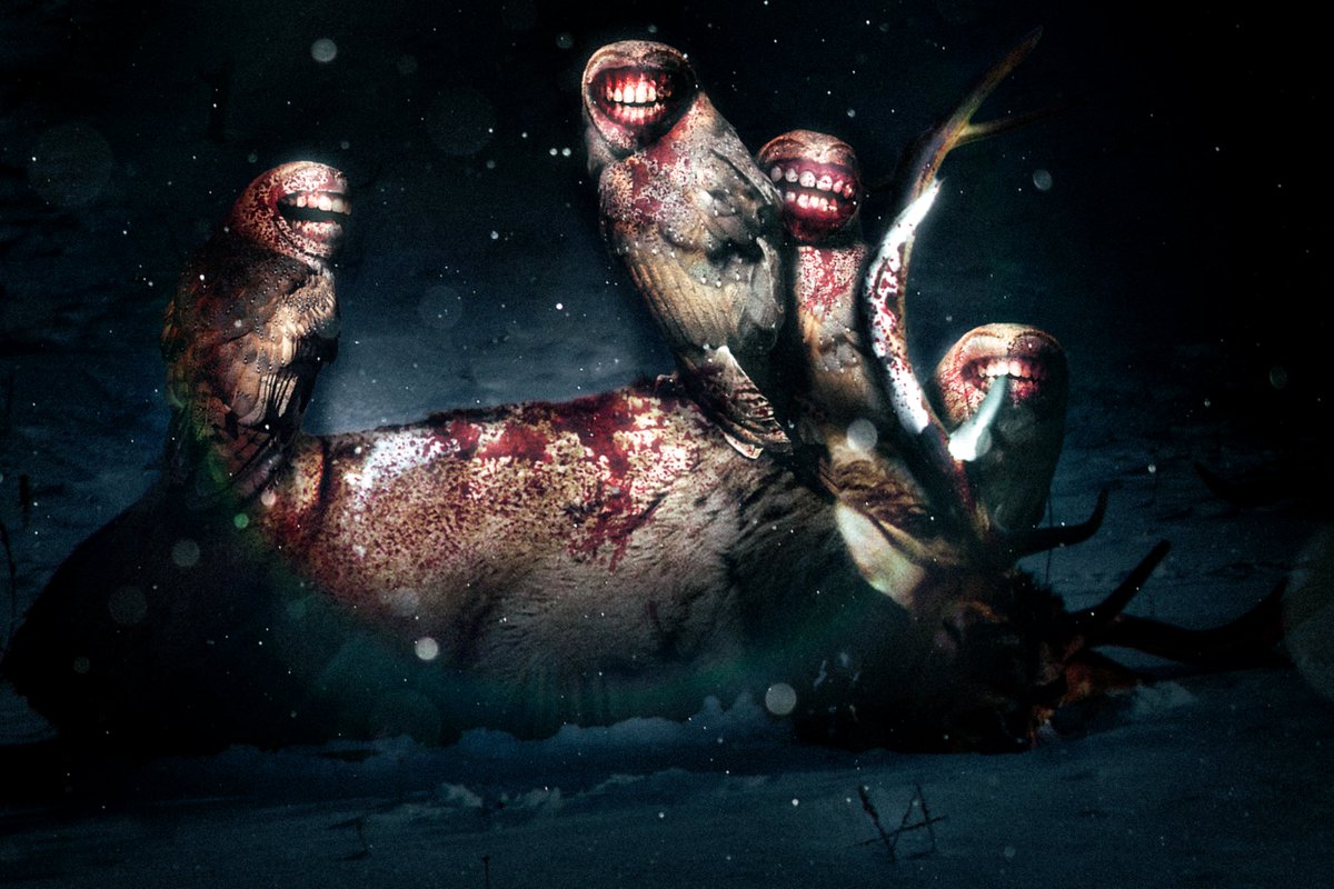 The white smiling owl (Rictostrix alba), is a deadly pack hunter, active during cold months.
Shortening winters have forced them to adapt, their hunting season now lasting well into the summer. They have become less selective with prey, leading to hiker accidents. Stay vigilant!