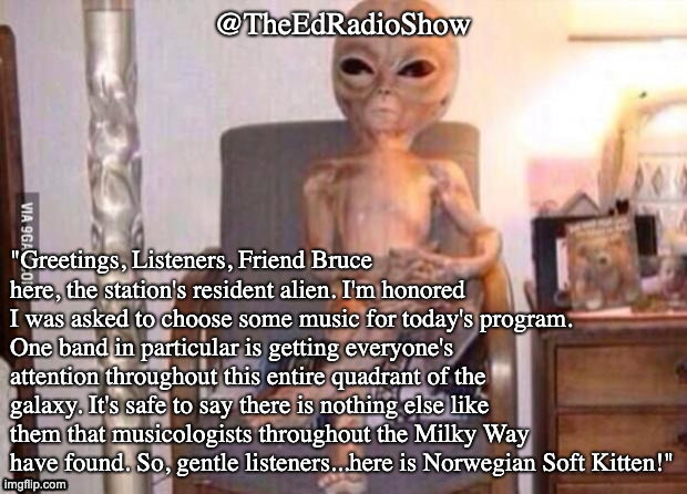 1 of 5

Friend Bruce picks <a href="/ns_kitten/">Norwegian Soft Kitten</a> !