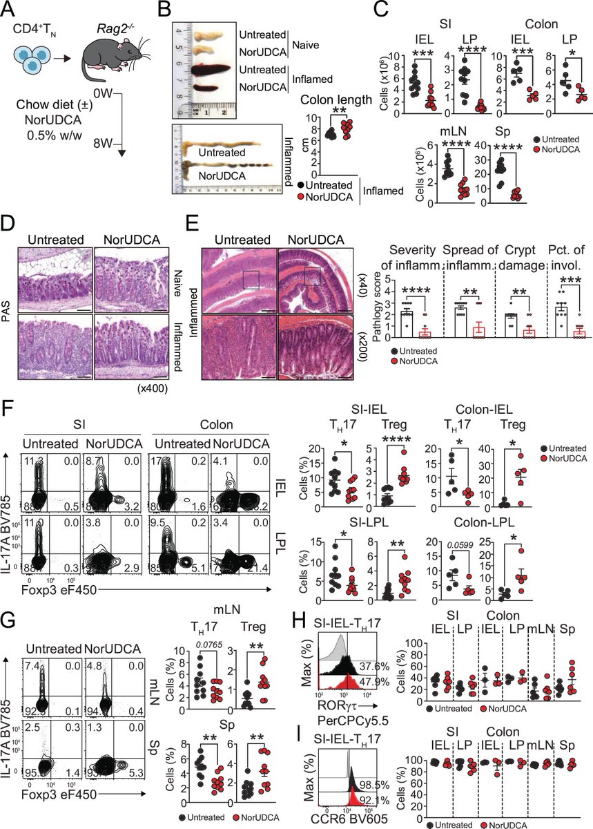 Gut_BMJ's tweet photo. #GUTImage from the paper by Zhu et al entitled
"24-Nor-ursodeoxycholic acid improves intestinal inflammation by targeting TH17 pathogenicity and transdifferentiation" via
https://t.co/4Jl53Ng444
#IntestinalInflammation https://t.co/N6TJJe6Rrr