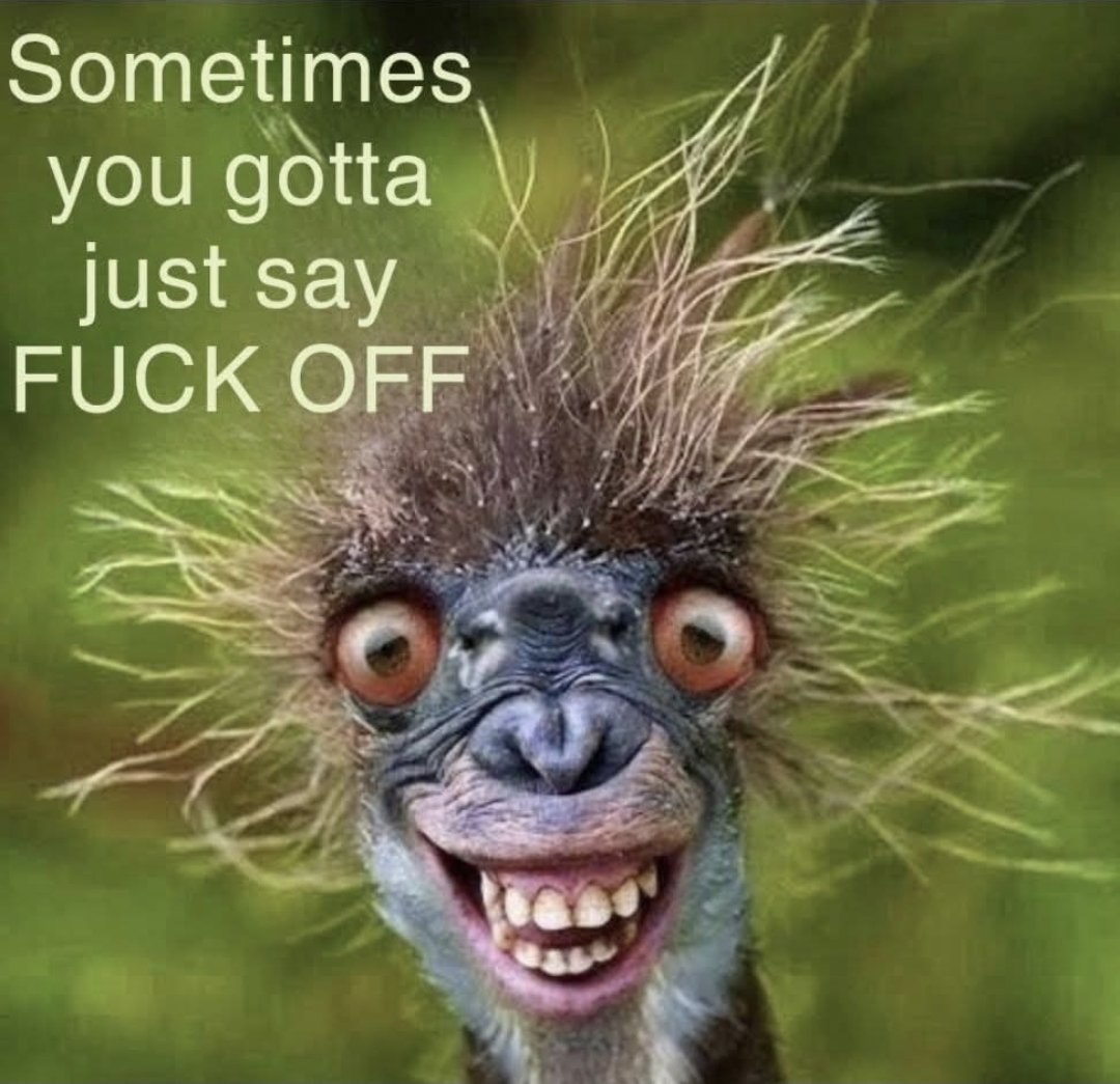 FOFF_AUSTRALIA's tweet image. When I hear people say FUCK OFF π
I get excited π₯³ Why?
#FuckOff4MentalHealth
#FuckOff4Freedom
#FuckOffCoin