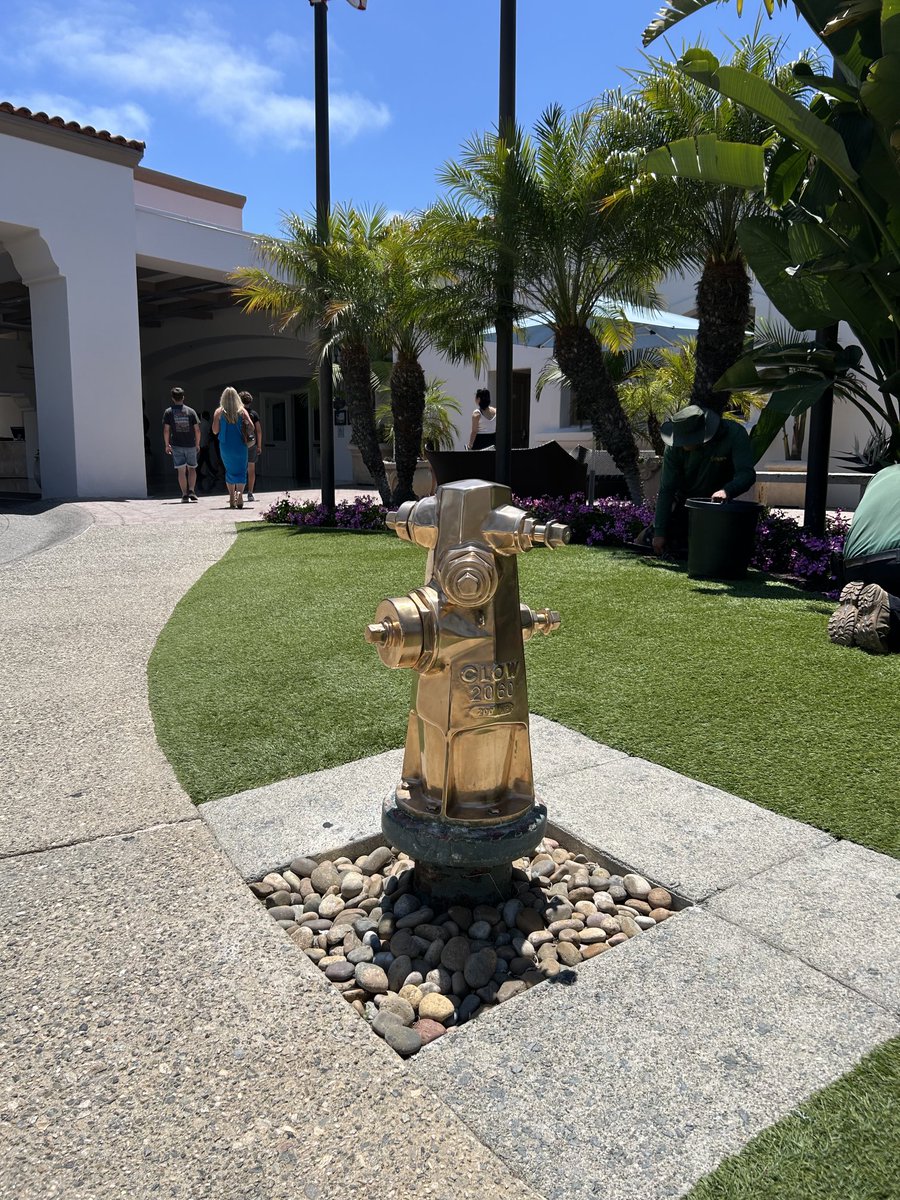 daveefreedom's tweet image. This is Southern California, where Fire Hydrants and Governor look great , but are useless!