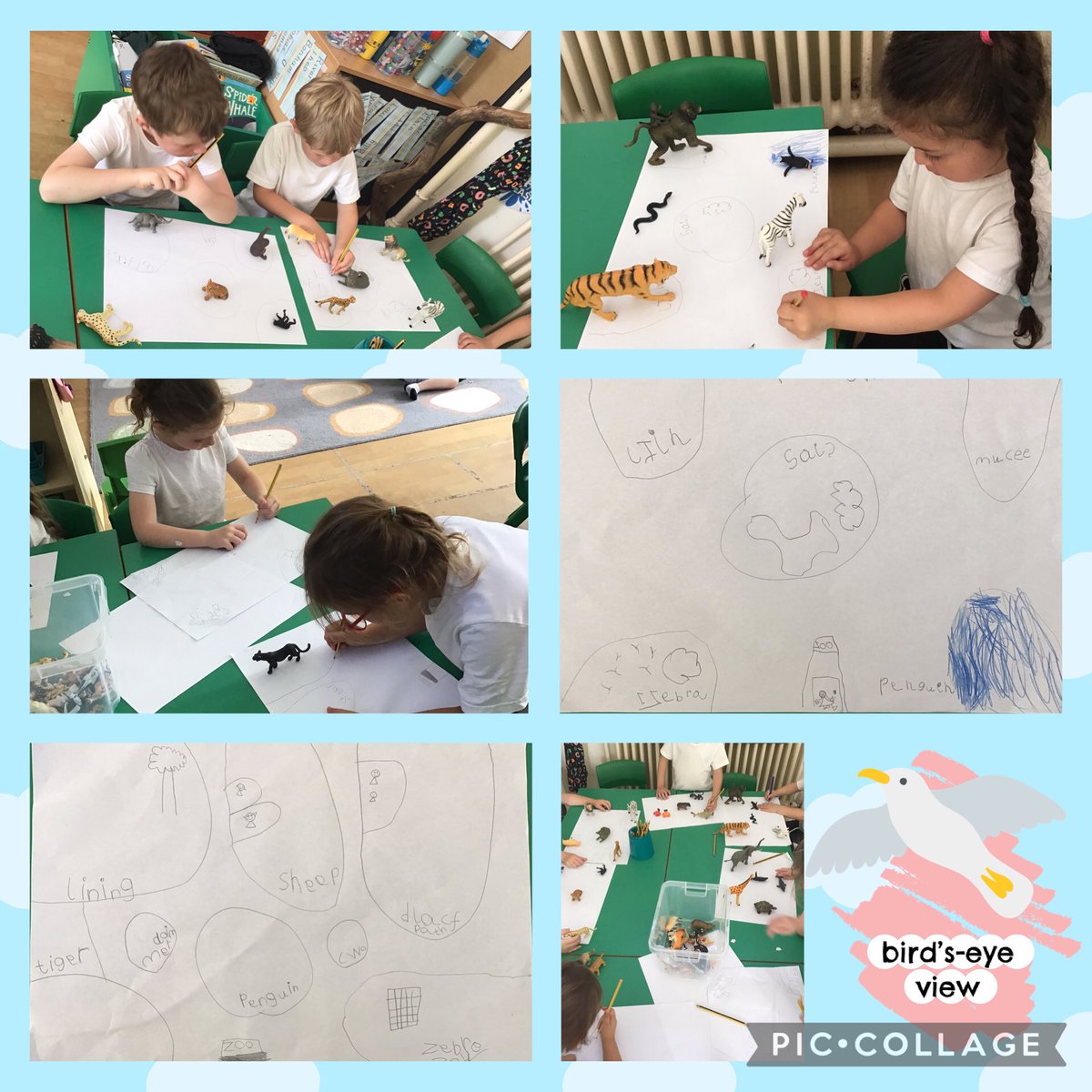 We have been using positional language exploring maps in @Overchurchmaths. The children have enjoyed creating their own maps for their zoos. #Overchurchgeography