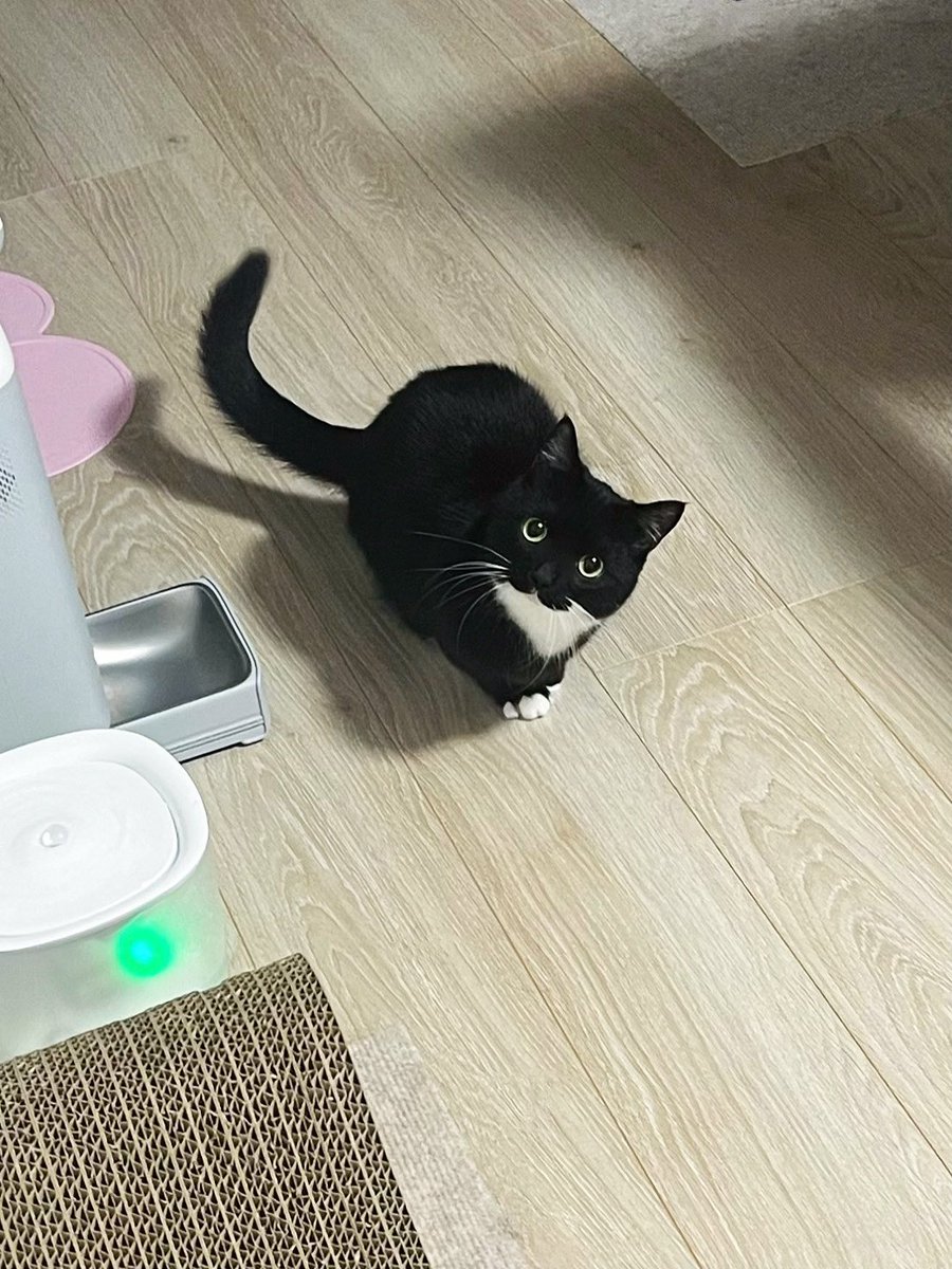 ◉◉💭(Food or punch ?)