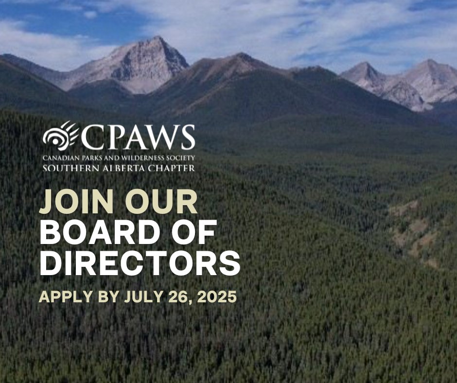 If you’re passionate about conservation and eager to contribute your skills, experience, and leadership to one of Alberta’s leading environmental organizations, we’d love to hear from you. 

More information here: cpaws-southernalberta.org/careers/volunt…

This is a volunteer position.