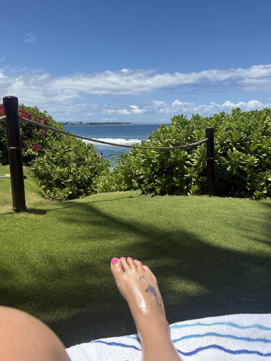 JaayKerr's tweet image. Reserved our favorite cabana to spend our last day in the sun! ☀️🌊👙🌴

#IslandLife #SolarPowered