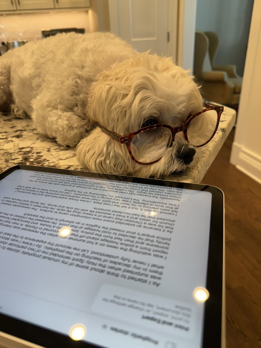 Have you ever been dog tired from working on your new book? #dogs #tired #AuthorLife