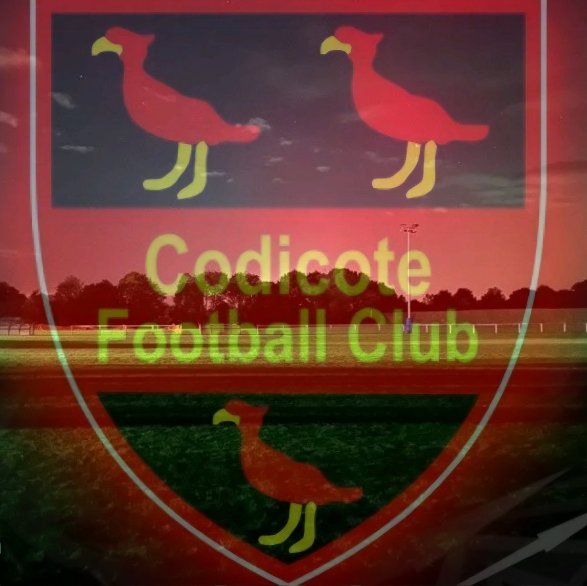 We're back on it tomorrow... Another preseason session for the Codicote squad, U18, Res, 1st.
📍Bury Lane, Codicote SG48XY
🕑 7pm Start
📅Thursday 3rd July
🏃‍♂️👟⚽️⚫️🔴🔵
#AllTogether #OneClub