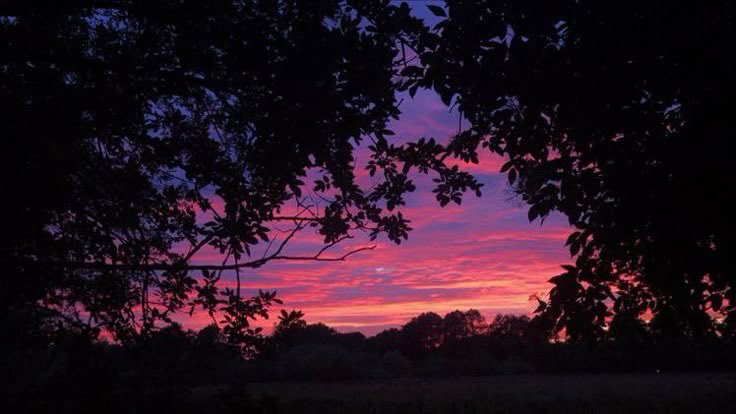 دجى (@iieucr) on Twitter photo 