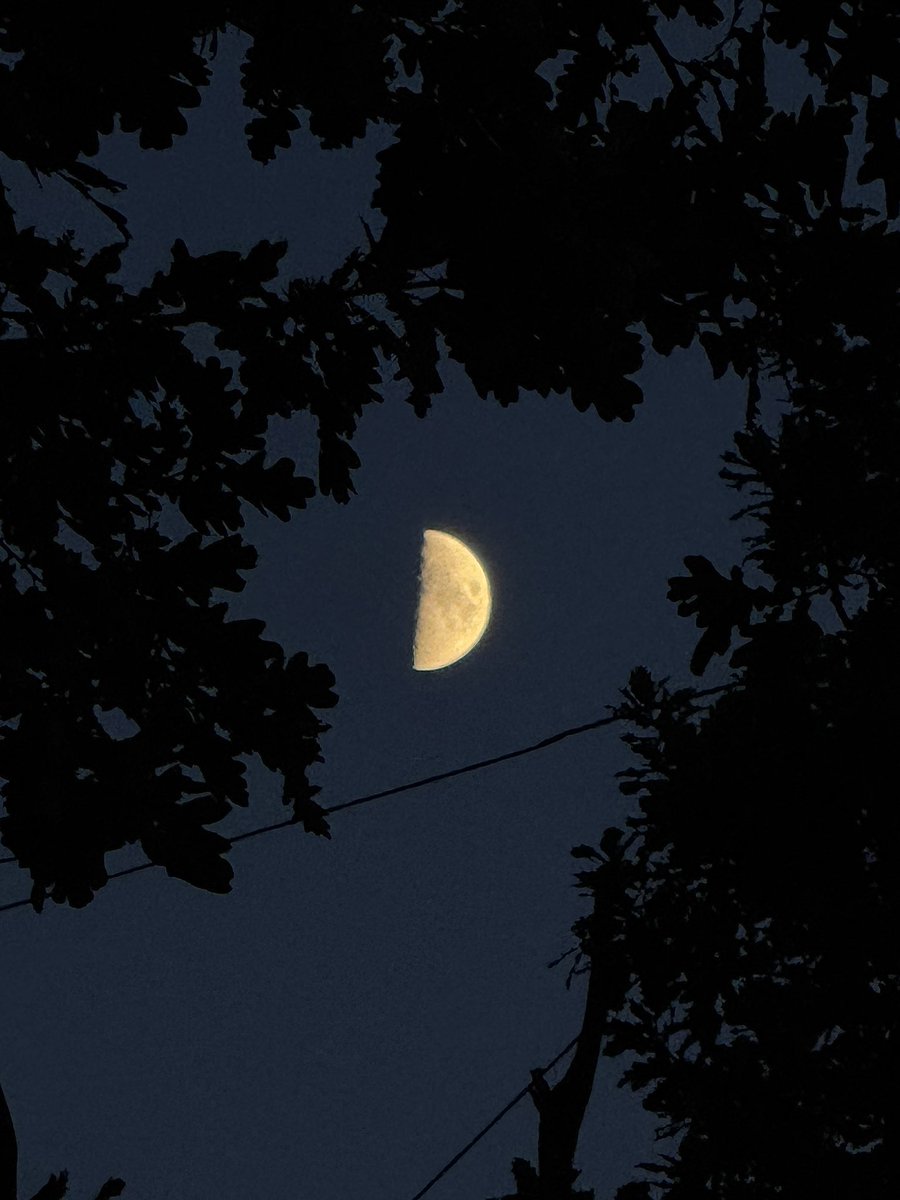 gorgeous half moon tonight