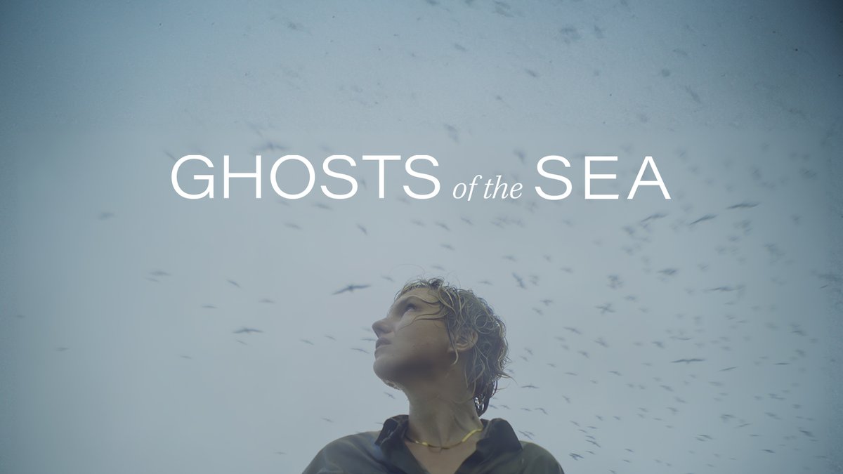 Katja De Bock tweet media