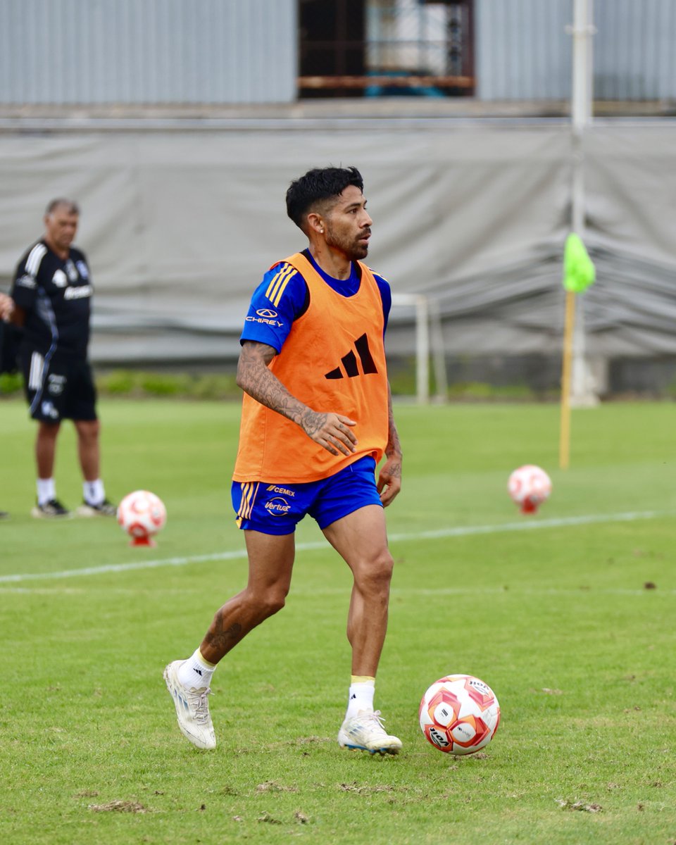 𝑷𝒆𝒏𝒕𝒂𝒄𝒂𝒎𝒑𝒆𝒐́𝒏 🐯