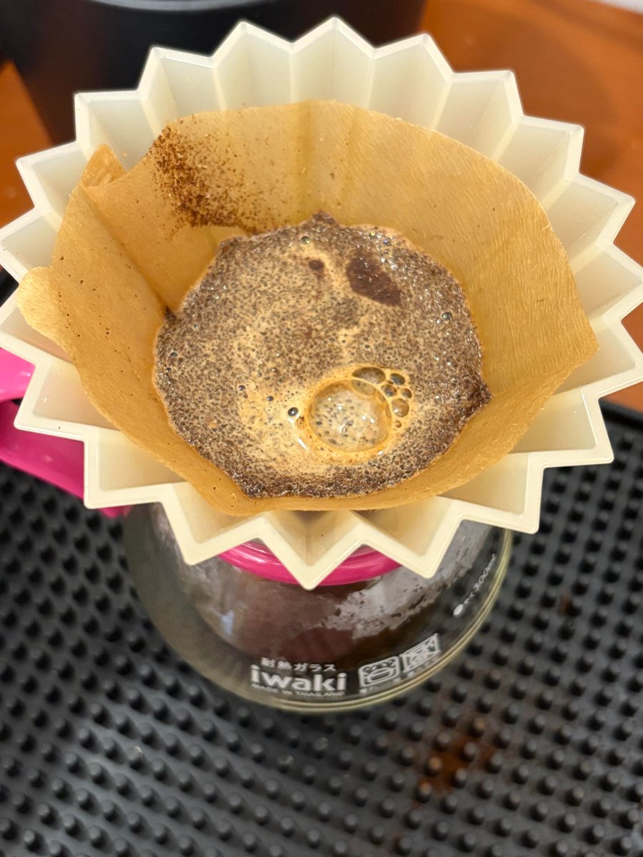 湯気が立つのはコーヒーだけじゃない、人生への情熱も 🔥☀️