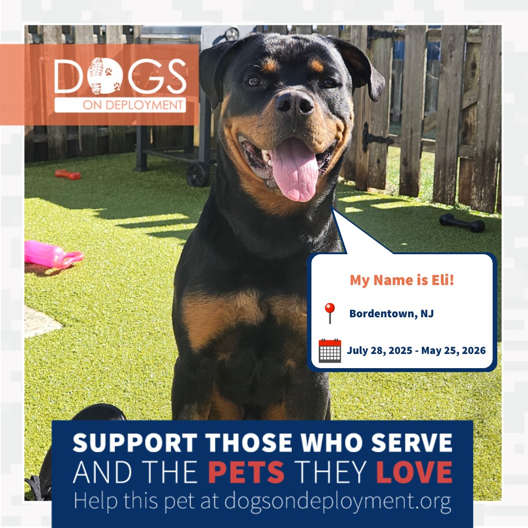 DogsonDeploymnt's tweet photo. These military pets are in need of boarders!
Freyja: https://t.co/yRlcknJscX
Maui & Koa: https://t.co/a0iuU17PYl
Eli & Storm: https://t.co/NDlxQZ5otU
(Must be registered as a DoD Boarder & logged on to view all information)
#DoDFoster #FosterPet #DogsonDeployment #DoDMission https://t.co/d0S0UCEDwg