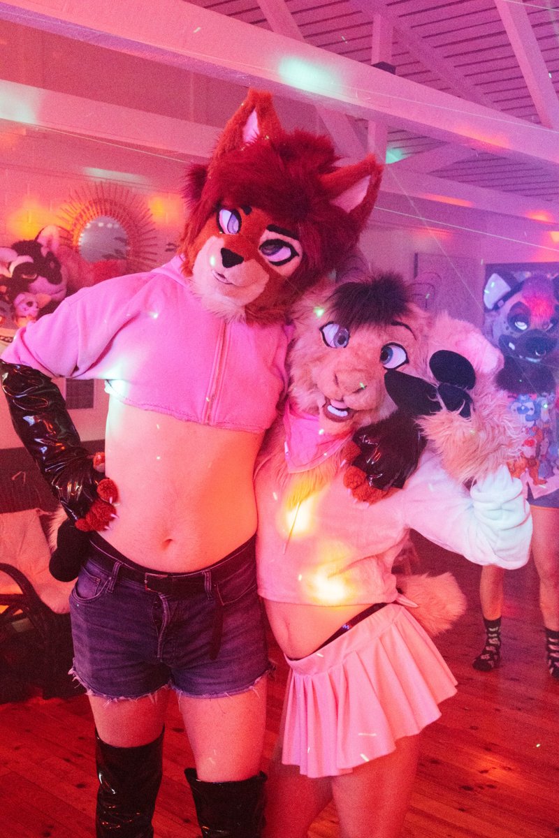 ShinyKissa's tweet photo. Lovely size difference
📷 @ReynardFoxy https://t.co/A65bxA64fo