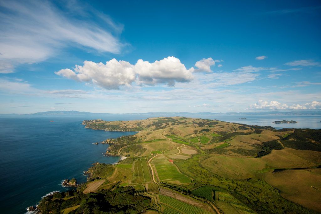 For many international drinkers, New Zealand is not the first place they think of when considering top quality cabernet sauvignon, merlot and blends of these Bordeaux varieties. therealreview.com/2025/07/02/tak…