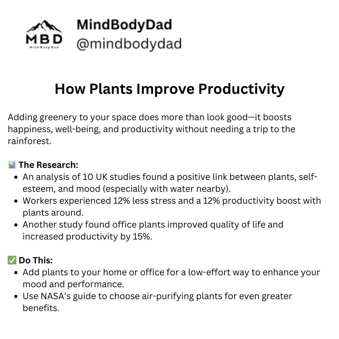 Workers in plant-filled offices report 12% more productivity and less stress. Even small greenery boosts mood and performance. NASA’s air-purifying plant list is a good place to start.