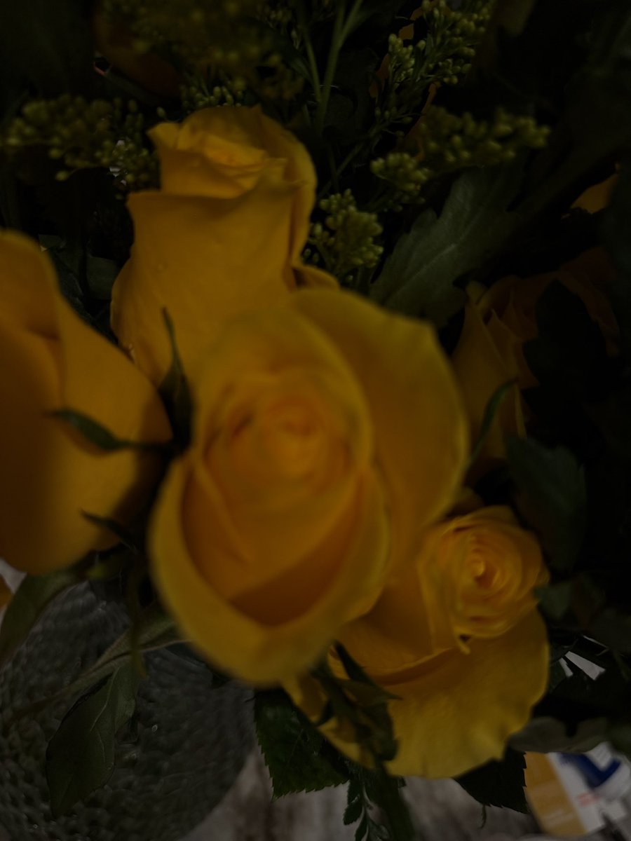 Jailene Vasquez tweet media