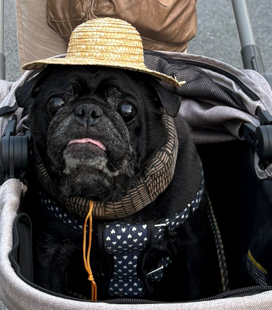 カールおじさん