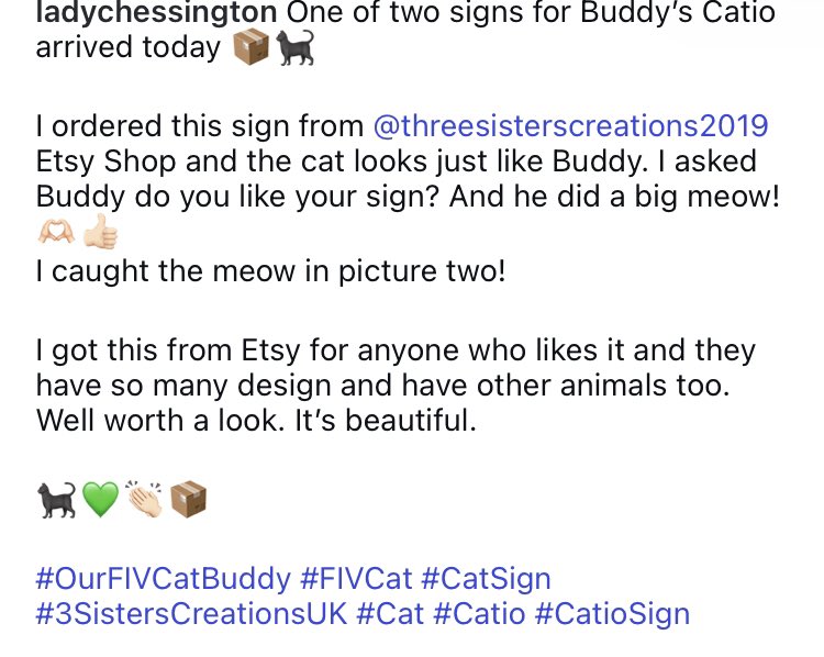 LadyChessington's tweet image. One of two signs for Buddy’s Catio arrived today 📦🐈‍⬛

I ordered this sign from 3 Sisters Creations U.K. Etsy Shop and the cat looks just like Buddy. I asked Buddy do you like your sign? And he did a big meow!… ⬇️

🐈‍⬛💚👏🏻📦

#OurFIVCatBuddy #FIVCat #CatSign #Catio #CatioSign