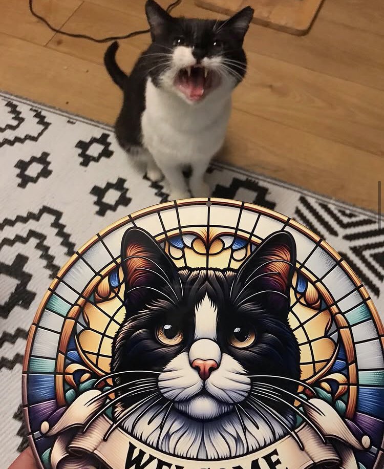 LadyChessington's tweet image. One of two signs for Buddy’s Catio arrived today 📦🐈‍⬛

I ordered this sign from 3 Sisters Creations U.K. Etsy Shop and the cat looks just like Buddy. I asked Buddy do you like your sign? And he did a big meow!… ⬇️

🐈‍⬛💚👏🏻📦

#OurFIVCatBuddy #FIVCat #CatSign #Catio #CatioSign