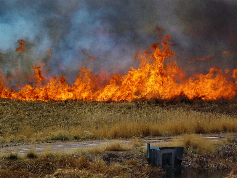 Fire season is here, and Utah County Firefighters are standing by to help with wildfires around the 4th of July.

utahcounty.gov/news/364/utah-…