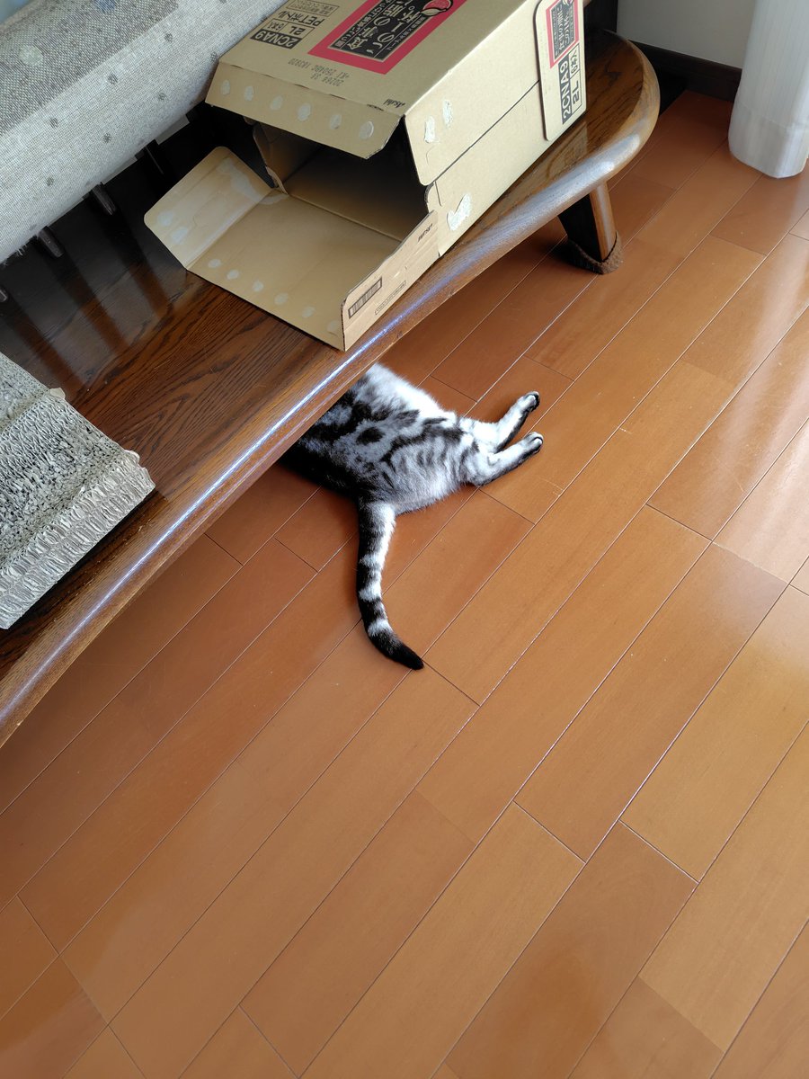 jangle0109's tweet photo. おはようございます😊
なんか出てますね…🤭 https://t.co/hEMTjKPhLW