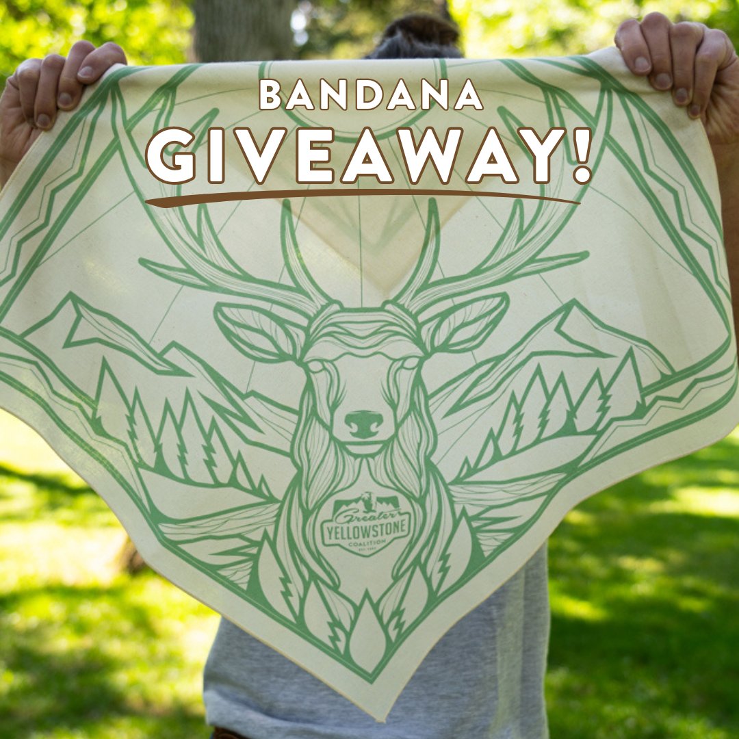 Make sure to enter our bandana giveaway on our Instagram page! Head over to @greateryellowstone to learn more and enter by July 23.