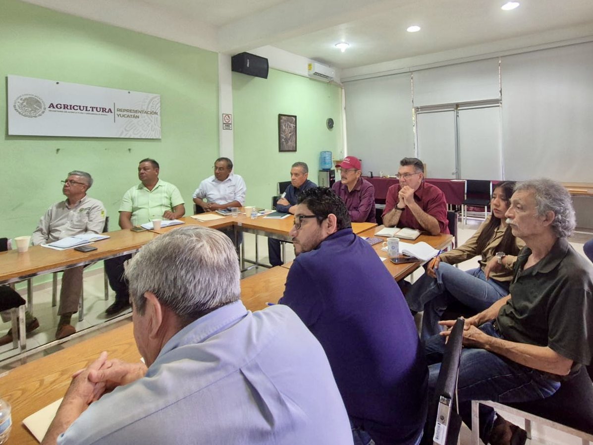 carlosberlinm's tweet image. Sostuve una reunión muy valiosa con los Comités Estatales de Sanidad Vegetal (CESVY), Sanidad Acuícola (CESAY) y Protección Pecuaria (CEFPPY).
Estos organismos son aliados fundamentales en la tarea de garantizar la sanidad e inocuidad de lo que producimos en el campo, el mar y…
