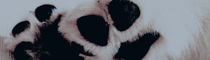 ‎‍‍‍ ‍‍‍ ◜ ร𝖺𝗇𝗃 ‎ ‎‎. tweet media