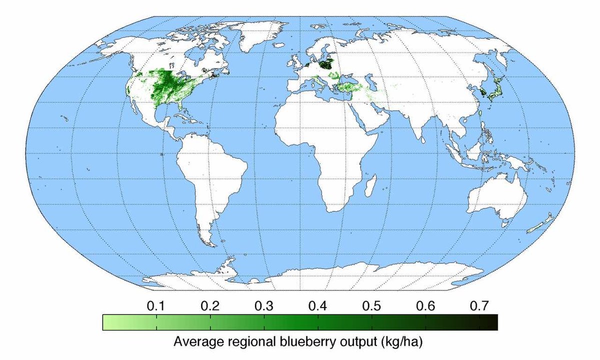 those 3 european countries that don't play bout blueberries