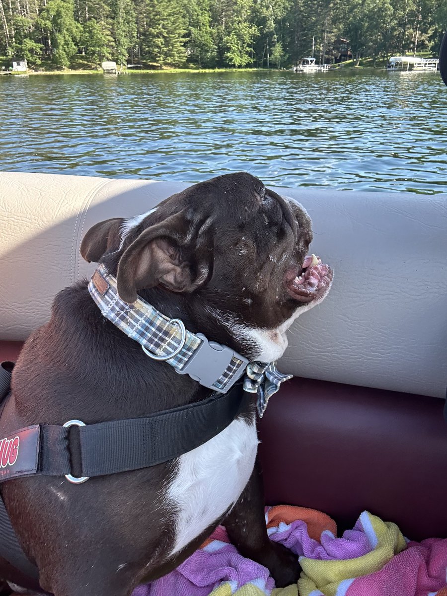 Road trip with Dad up to Crosslake. Now we are on a boat!