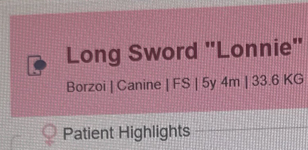 Had to silence the Longsword non-believers by pulling out her vet records