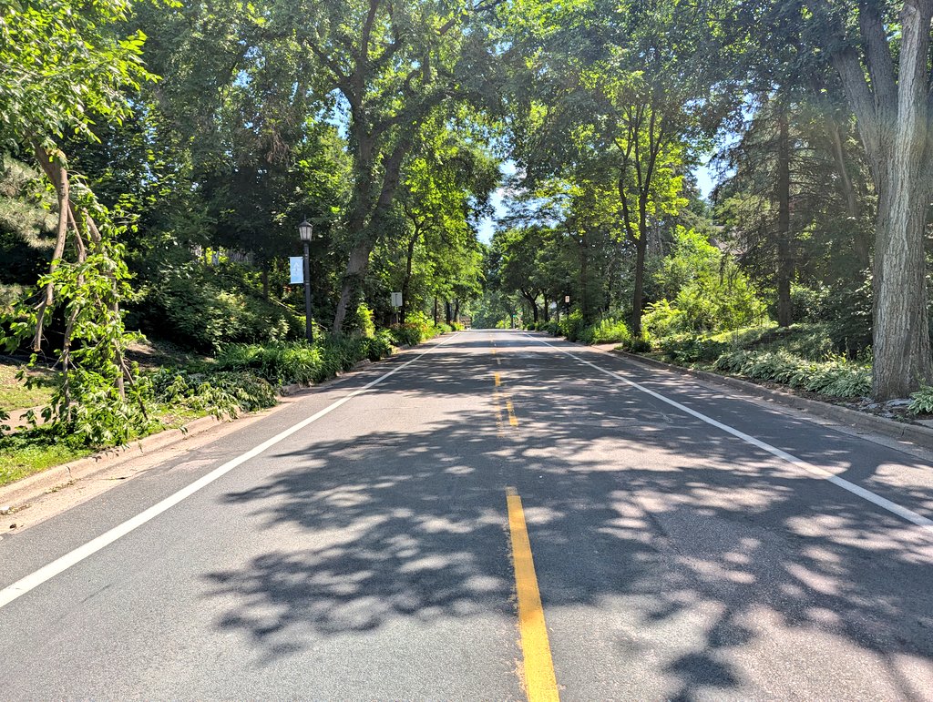 Due to being blocked off for road repairs, behold the glory that is Franklin Avenue SE without cars.
