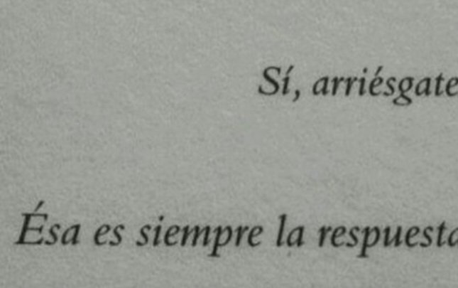 Abrahamamador (@abrahanamador) on Twitter photo 