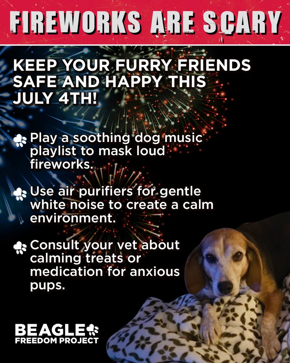 beaglefreedom's tweet image. 🎆 4th of July Tips: Fireworks can be terrifying for dogs. Many run away in panic.
💊 Talk to your vet now if your dog has noise anxiety — meds can help.
🐶 Keep them inside, play white noise, update ID tags, and stay close if you can.
Thanks for looking out for them ❤️💙