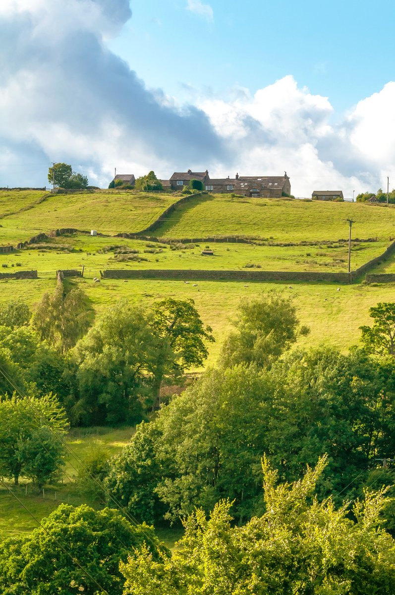 AFowlerPhoto's tweet image. Near Hob Cote Farm, Oakworth.
In case you were wondering, a hob cote is a shelter for lambs.