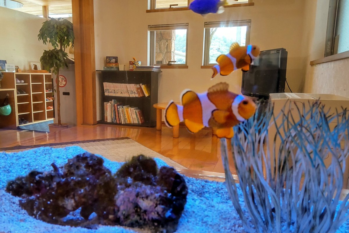 ６ヶ月毎の歯科検診
ケア大事
スッキリ爽快