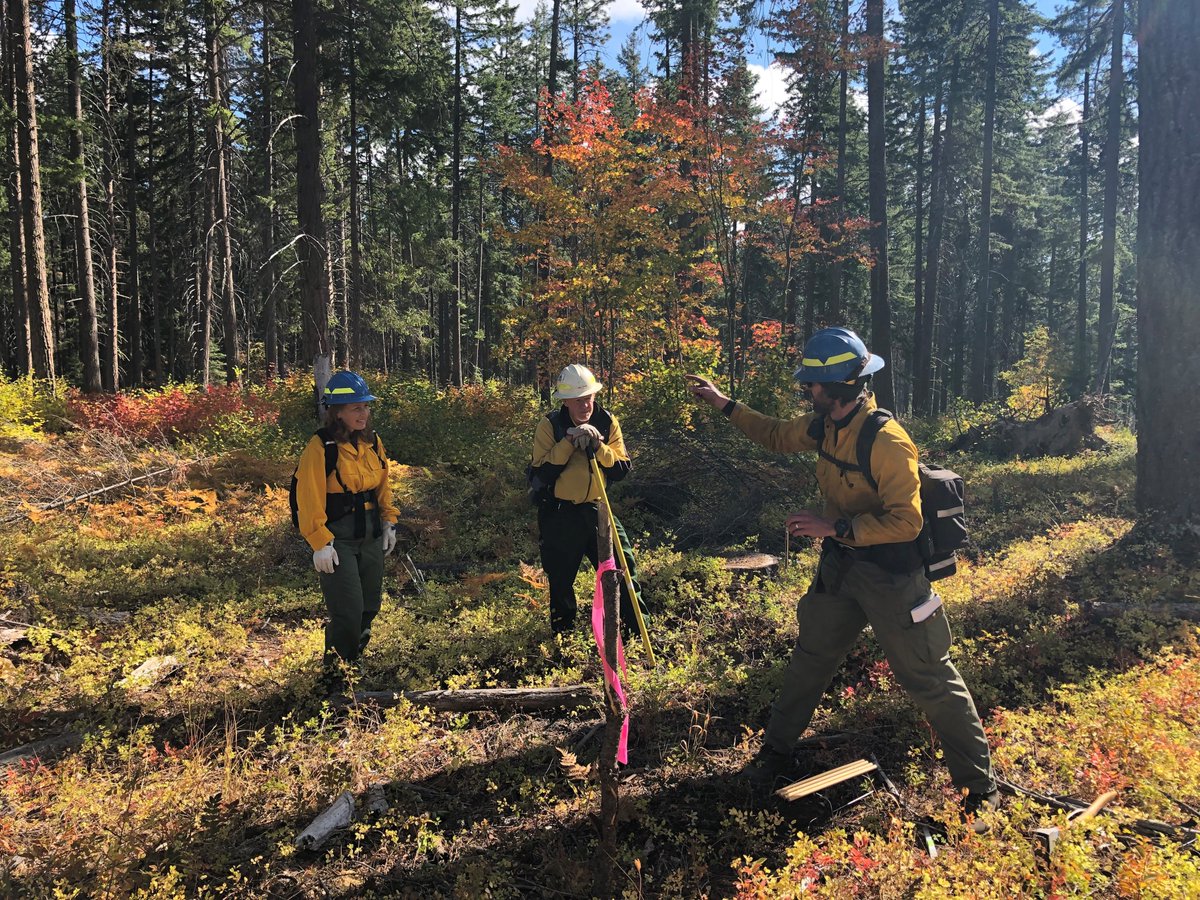 Rep. Kim Schrier, M.D. (@repkimschrier) on Twitter photo Here in Washington State, we’ve seen the destruction caused by wildfires and recognize the irreplaceable role that wildland firefighters play in keeping our communities safe. On National Wildland Firefighter Day, we honor their service and bravery. Here in Washington State, we’ve seen the destruction caused by wildfires and recognize the irreplaceable role that wildland firefighters play in keeping our communities safe. On National Wildland Firefighter Day, we honor their service and bravery.