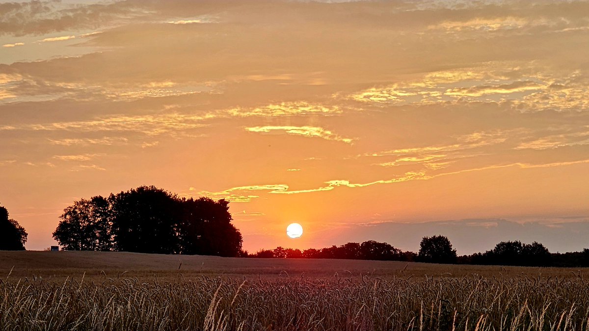 Guten Morgen ihr Lieben. Der frühe Vogel und so. Kennt ihr ja. Kommt gut durch den Tag.