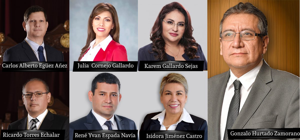 A la (ALP) le importó “un comino” completar la elección judicial de 2024, donde por una decisión del  (TCP) se eligió a 19 de 26 autoridades, afirmó el presidente en ejercicio del Tribunal Supremo Electoral (TSE), Oscar Hassenteufel.
horizontesonline.com/presidente-del…