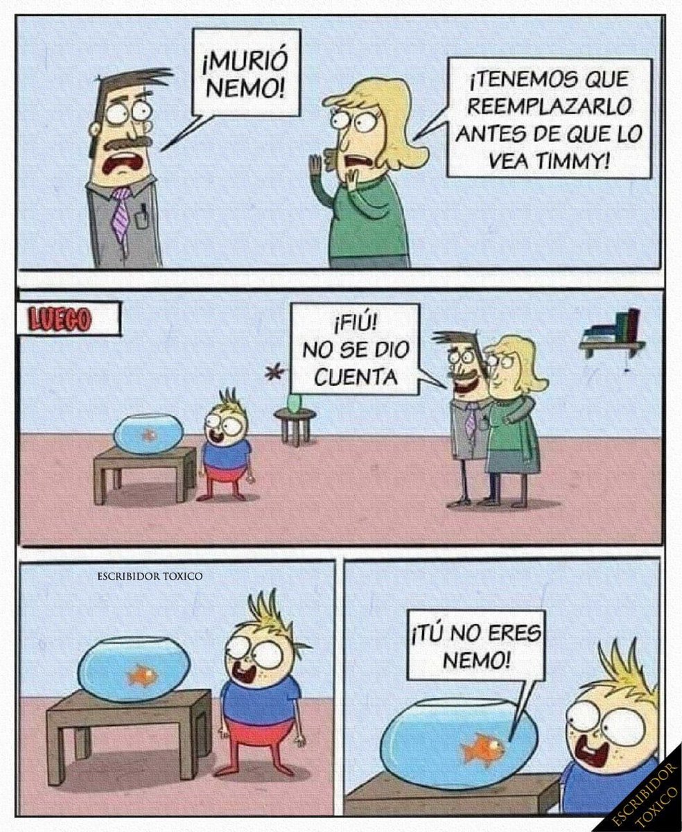 Irma Mando (@nh_smms) on Twitter photo 