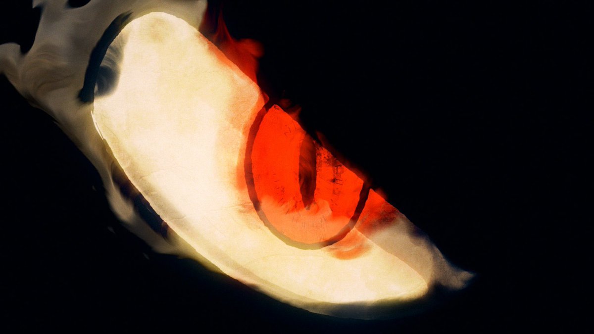 رسميًا، رسميًا رسميًا🚨🚨

اقوى اركات بلاك كلوفر "آرك غزو مملكة سبيد" في مرحلة الانتاج🔥🔥🔥🔥