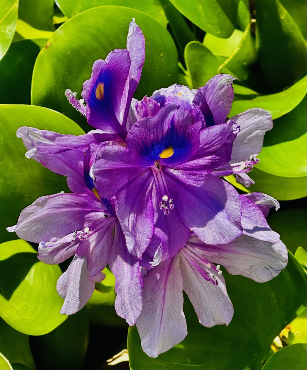 educationtr's tweet image. #July3rd🌍